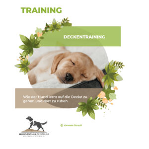 Deckentraining