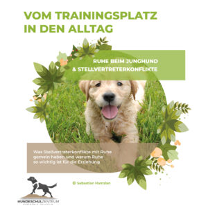 Ruhe beim Junghund & Stellvertreterkonflikte