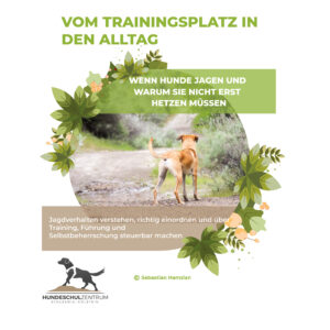 Jagdverhalten verstehen