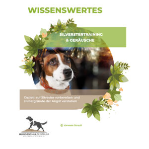 Silvestertraining & Geräusche
