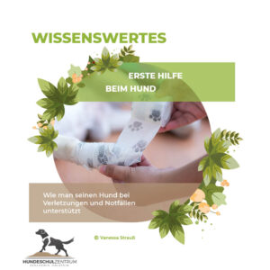 Erste Hilfe