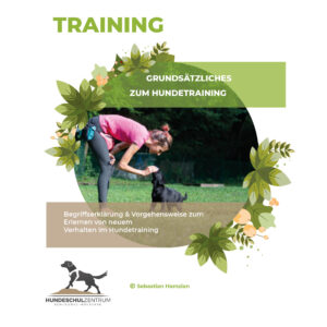 Grundsätzliches zum Hundetraining