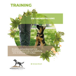 Training Grundstellung