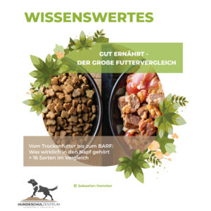 Gut ernährt - der große Futtervergleich
