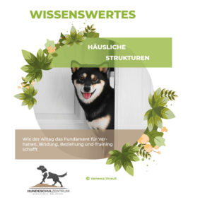Häusliche Strukturen