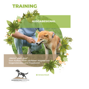 Training Ausgabesignal Meins