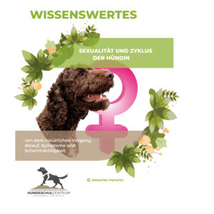 Sexualität und Zyklus der Hündin