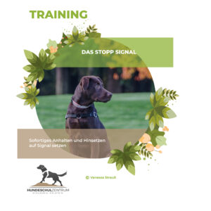 Training Stopp-Signal