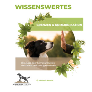 Grenzen & Kommunikation